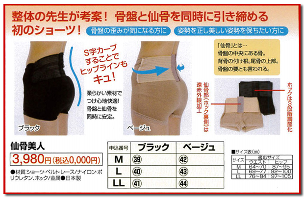 カタログ誌